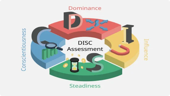 disc assesment